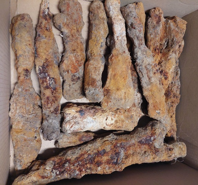 A boxed collection of unearthed iron weapons, including spearheads and axes, emphasizing the scale and significance of the archaeological discovery.