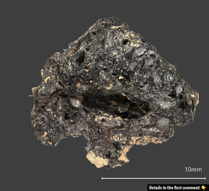 A close-up of seeds embedded within a charred fig from Drumanagh, captured with cutting-edge 3D digital microscopy (Keyence VHX7000) at 30x magnification in a Historic England laboratory.