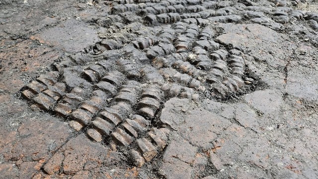 A close-up of the enigmatic bone floor discovered in a house at Achterdam, situated in the heart of Alkmaar.