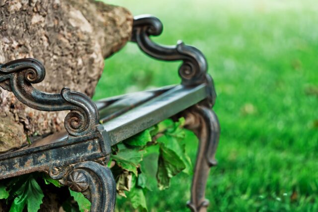 A close-up view of the intricate detail of the bench being enveloped by the Hungry Tree.