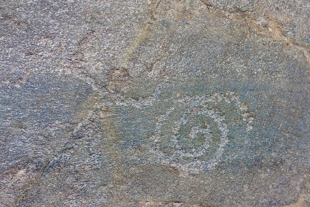 A collection of stunning petroglyphs from the Bronze Age reveals the artistry of ancient civilizations.