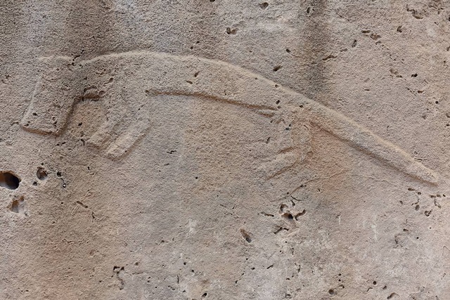 A detailed carving animal on one of Göbeklitepe's ancient stone pillars, highlighting the site's unique artistic elements