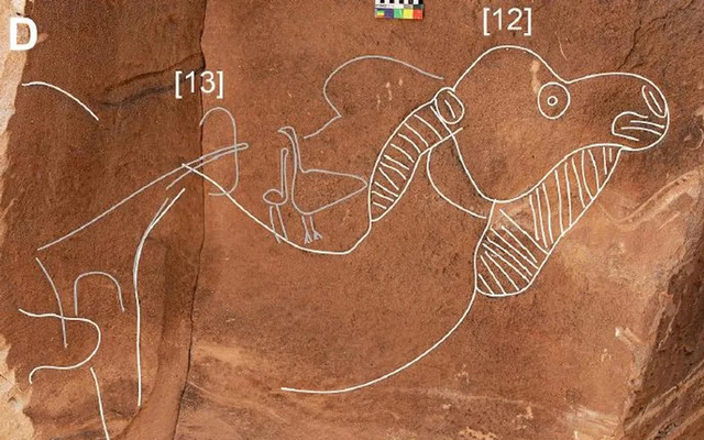 A detailed example of one of the extraordinary ancient camel images discovered at the site