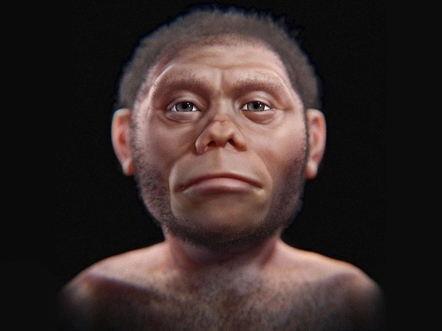 A detailed facial reconstruction showcasing the appearance of Homo floresiensis.