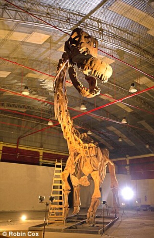 A life-sized model showcases the sheer scale of this colossal creature.