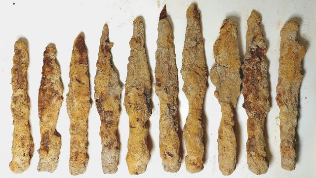 A line-up of iron spearheads carefully arranged for documentation, showcasing the uniformity and craftsmanship of these Roman-period artifacts.