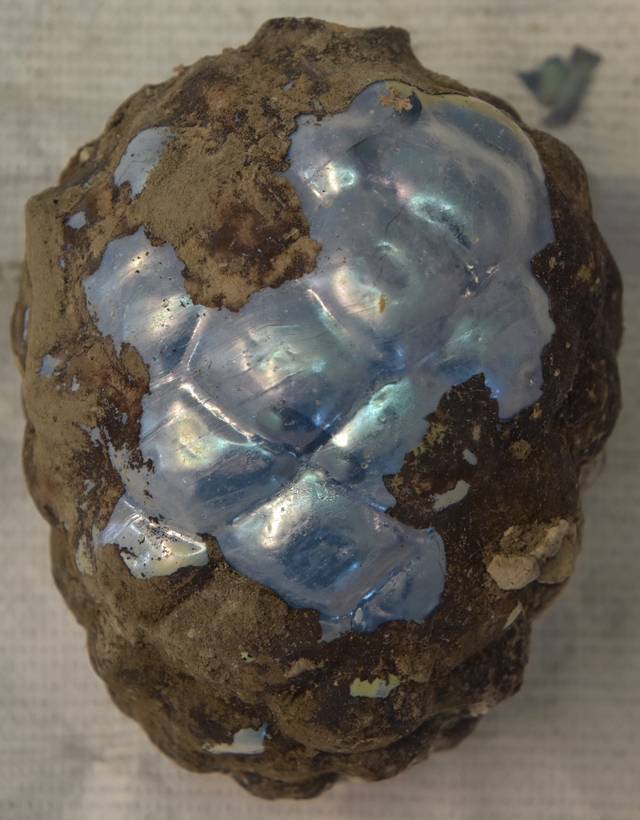 A preserved glass pine cone artifact from the excavation, highlighting the intricate craftsmanship and symbolic significance in ancient Roman culture.