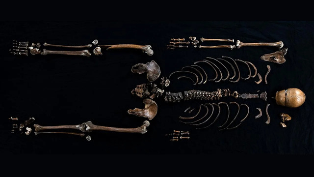 A rare discovery: the complete skeletal remains provide a vivid connection to the past.