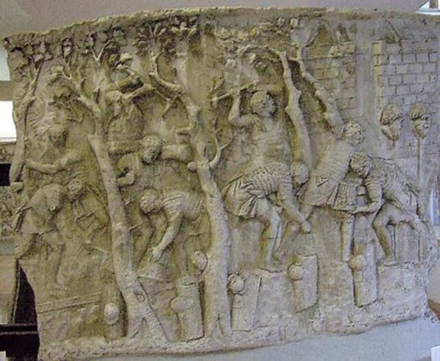 A scene from Trajan’s Column, depicting Roman soldiers felling trees to prepare for road construction—an essential part of their infrastructure.