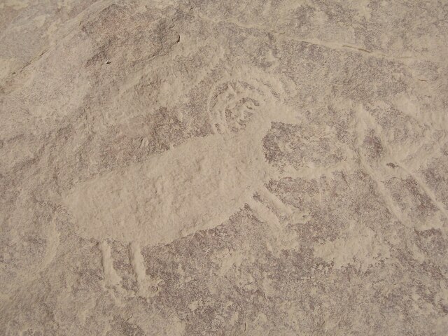 Dust-covered petroglyphs, their intricate carvings obscured by time and human activity, March 2008.