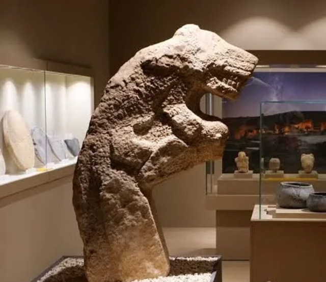 A stone sculpture of an animal displayed in the museum, one of the remarkable artifacts from the Gobekli Tepe site.