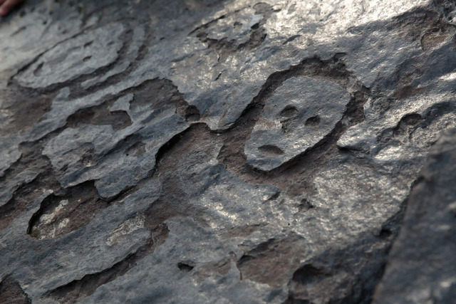 A view of ancient stone carvings on a rocky point of the Amazon River, exposed as water levels dropped to record lows near Manaus.