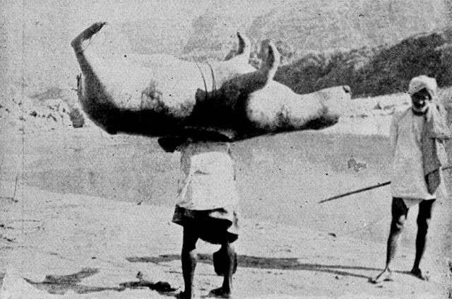 A villager carrying an inflated bullock skin, ready to provide a reliable mode of crossing for passengers and goods.