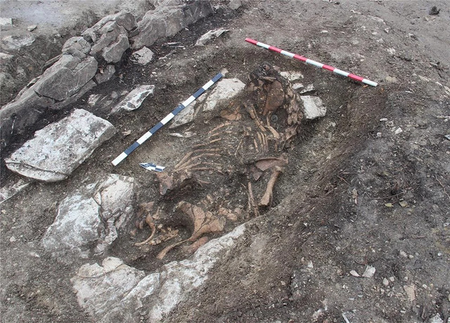 A western perspective of the horse burial, revealing its fascinating layout.