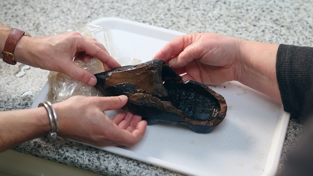 Archaeologist Silke Lange, alongside a colleague, carefully examines a 16th-century Dutch clog unearthed from a cesspool in Alkmaar, during analysis at a laboratory in Zaandam, Netherlands, on December 20, 2024.