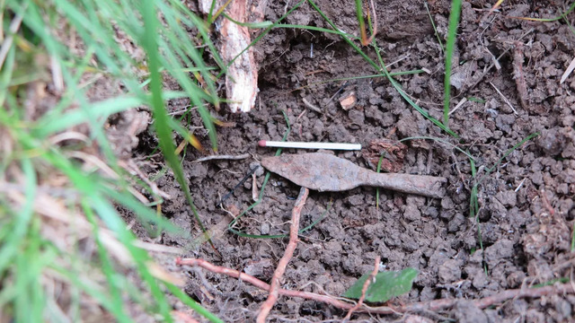 Among the finds were Roman spearheads