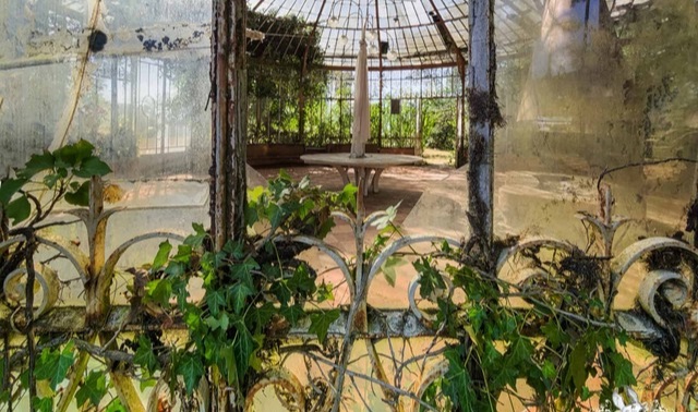 An Old Tree and a Children’s Swing Add an Eerie Charm to the Grounds of La Serre du Chirurgien.