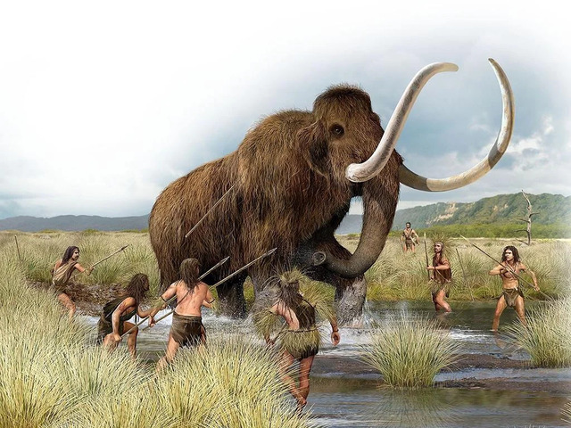 An illustration of Clovis hunters strategically hunting a mammoth, showcasing their skill and coordination during the Ice Age.