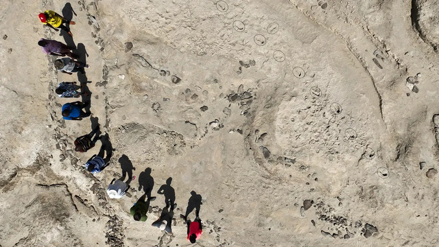 Eleven researchers gather around a set of hominin footprints, casting long shadows over the excavated relics of a distant past.