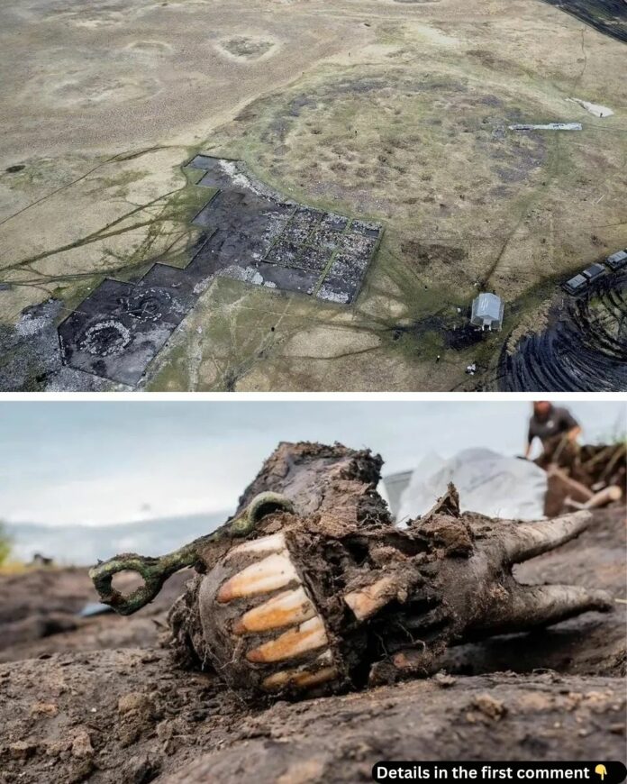 Aerial view of the Siberian Valley of the Kings, revealing the excavation site of the 2,800-year-old burial mound in Tuva, southern Siberia. Credit: Trevor Wallace.