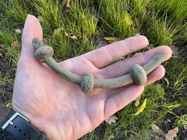 Bronze neck rings