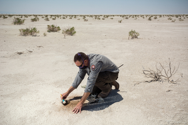 Bustos carefully uncovers an ancient footprint preserved within the sands of White Sands National Park.