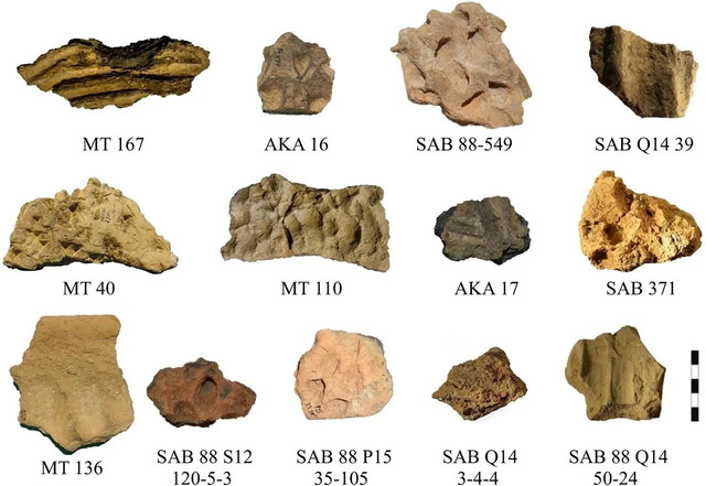 Carefully analyzed archaeological fragments have shed light on the tools and techniques behind Mesopotamian bread-making traditions.