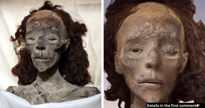 Bringing the Ancient Queen to Life: The Story of Tiye’s Reconstruction