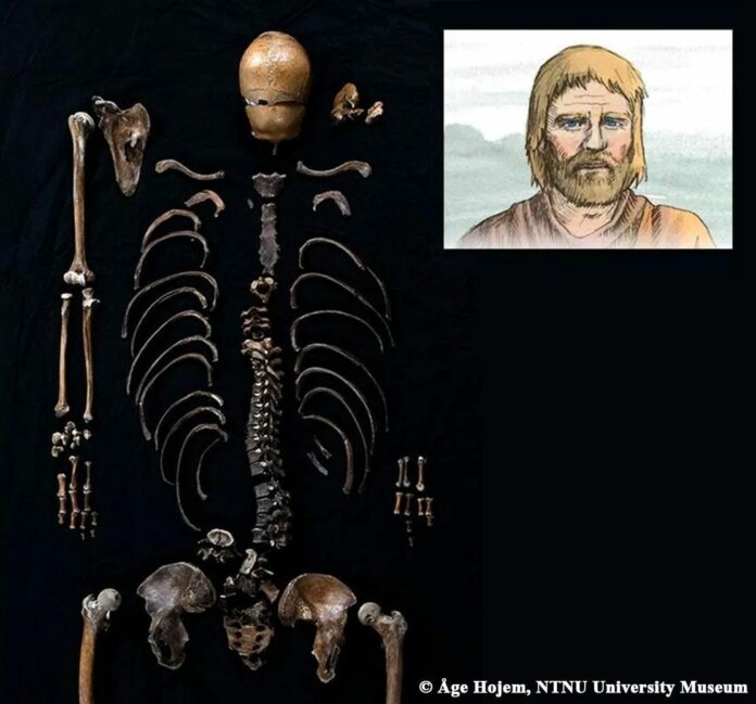 DNA Analysis of 'Well-man' Validates 800-Year-Old Norse Saga