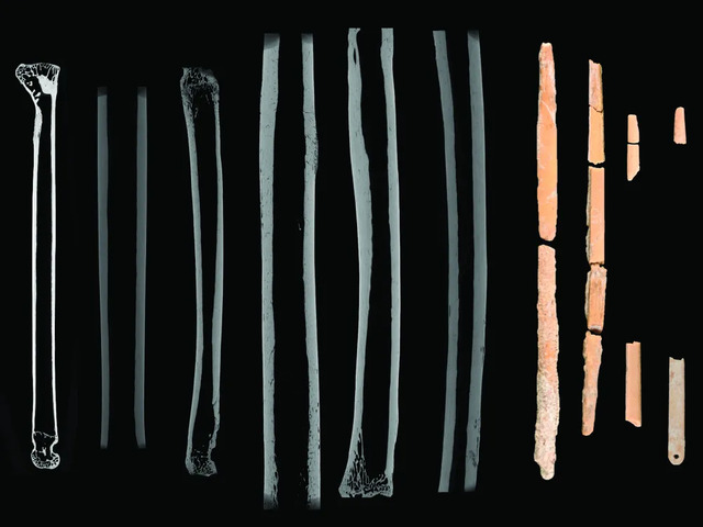 Detailed Micro-CT scans of bone needles, compared with other specimens, provide a clearer understanding of their origins and craftsmanship.