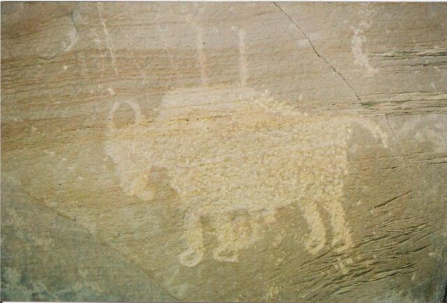 Distinct prints beneath the bison’s hooves point to a Ute origin, captured in November 2007.