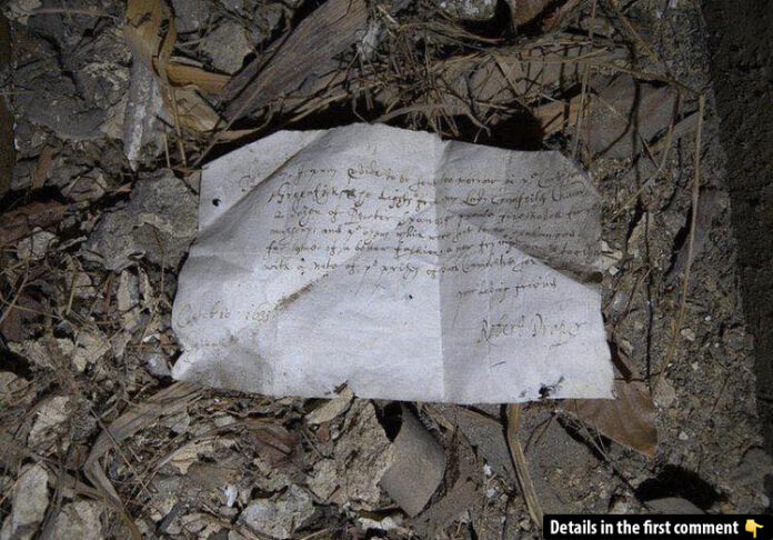 Fish, Candles, and Two Dozen Spoons: A 400-Year-Old Shopping List Unearthed Beneath the Floorboards