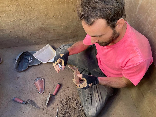 François Lanoë, an assistant research professor at the University of Arizona's School of Anthropology, proudly displays an 8,100-year-old canine jawbone unearthed in interior Alaska in June 2023.