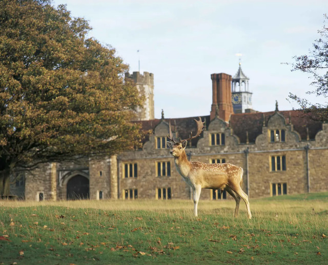 Grounds around the house have been used for deer-hunting since the 17th century