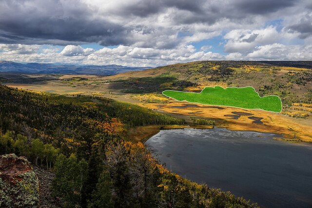 In Utah’s Fishlake National Forest, Pando, also known as the "Trembling Giant," is a clonal colony of quaking aspens that covers over 100 acres