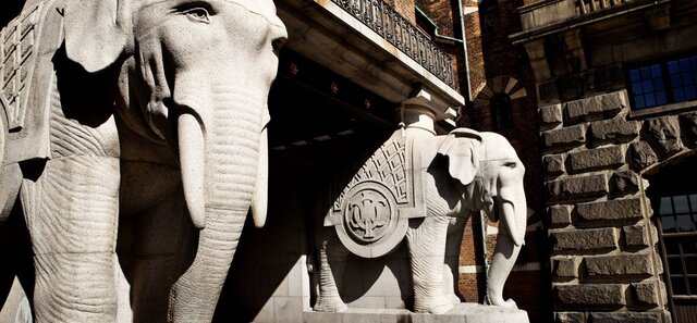 Interestingly, each elephant bears a name—Rhea, Behemoth, Goliath, and Hannibal—furthering their significance as pillars of the brewery’s strength