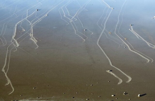 Intriguing trails left by the mysterious sailing stones of Racetrack Playa.