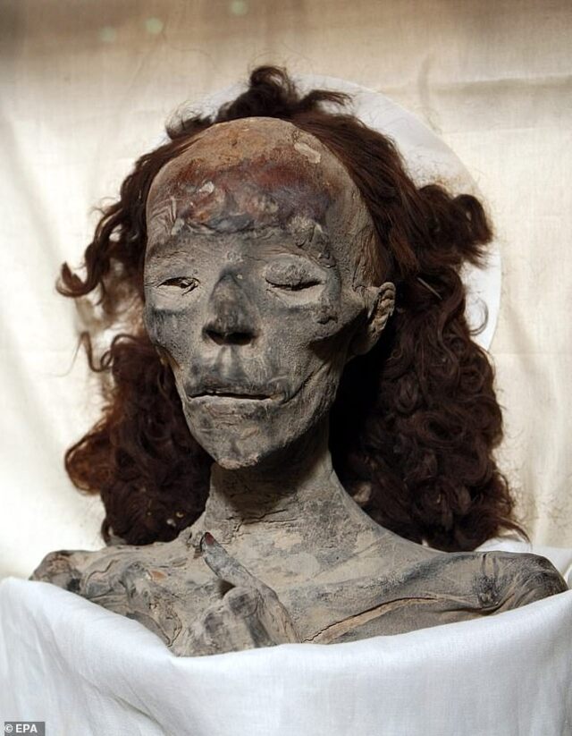 Queen Tiye’s mummy, unearthed in 1898 in Amenhotep II’s tomb in the Valley of the Kings, had her identity confirmed only in 2010 through groundbreaking DNA analysis.