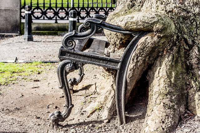 Side perspective revealing how the Hungry Tree gradually integrates the bench into its structure.