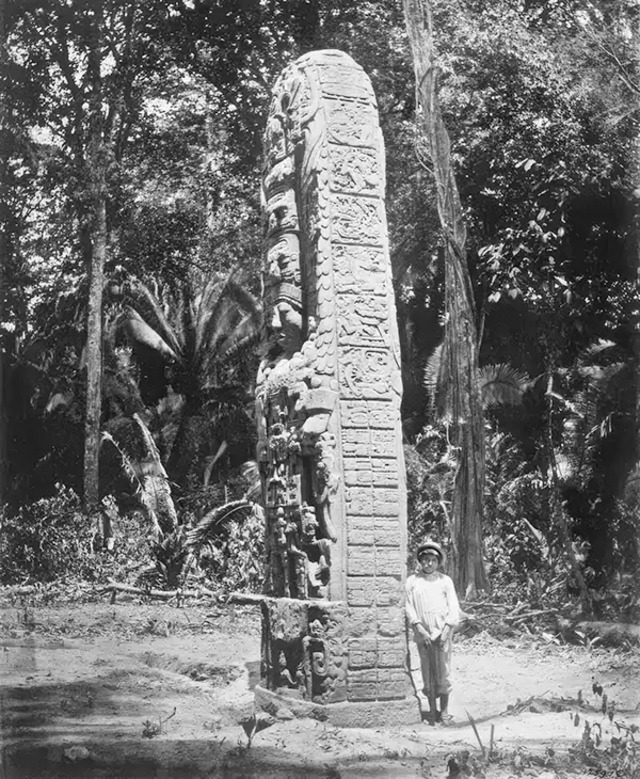 Stela D, a towering monolith from Quiriguá, Guatemala, dating to 766 C.E., photographed during Alfred Maudslay’s expeditions.