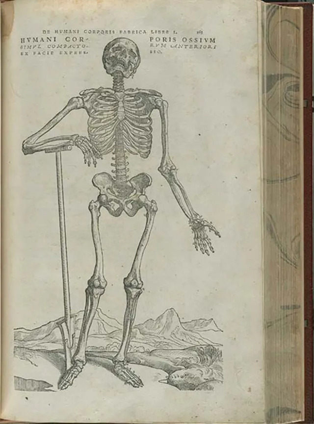 The skeleton illustration on the inside cover of the Assassin Cabinet, paired with the Latin phrase, "Statutum est hominibus semel mori" (It is a fact that man must die one day), serving as a memento mori.