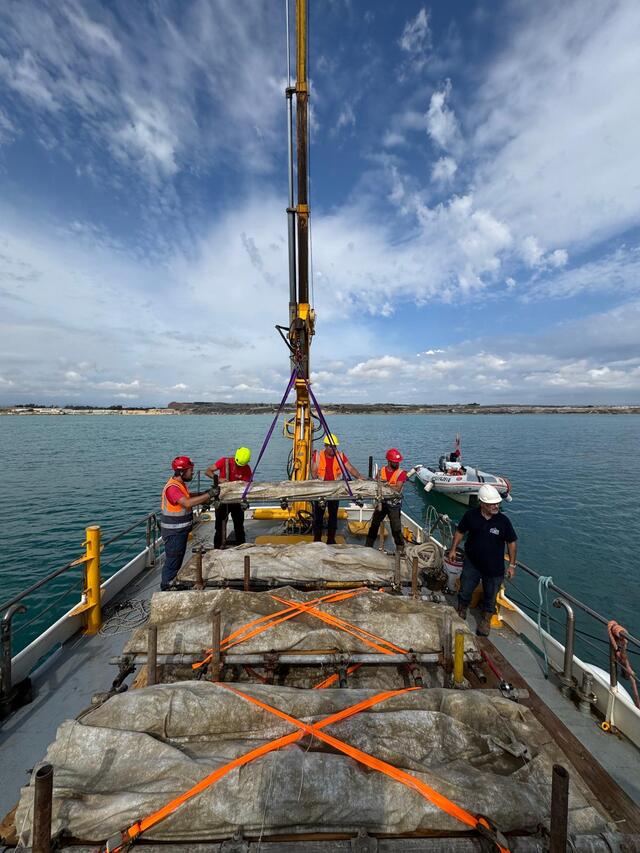 Team members complete the last steps of securing artifacts for transfer to the Archaeological Park of Gela, where they will be studied and displayed.