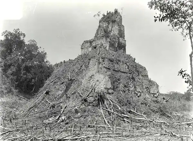 Temple B at Tikal, as seen during Alfred Maudslay’s expedition to Guatemala in the late 19th century.