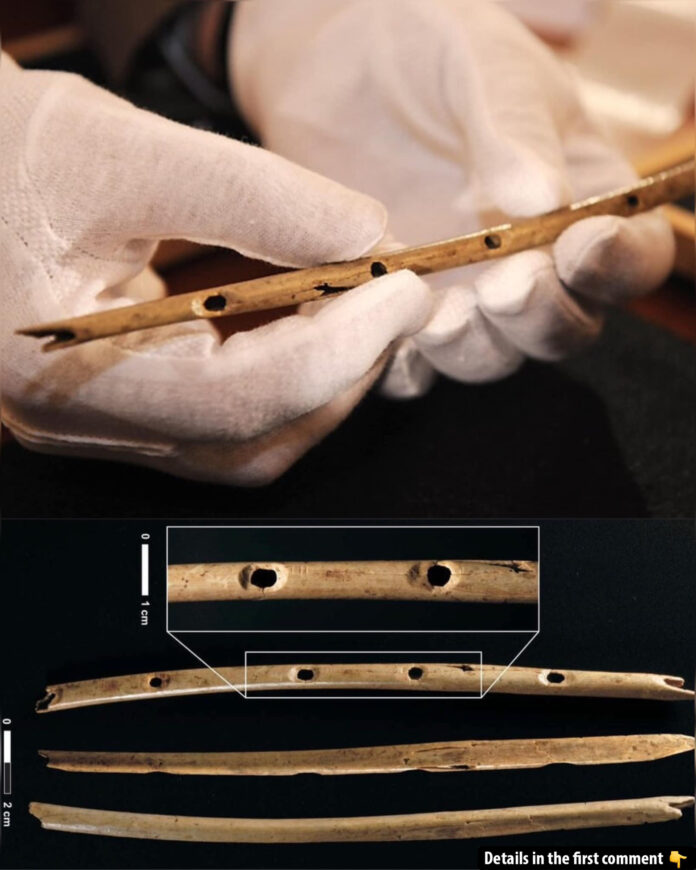 The Hohle Fels Flute: Humanity’s First Melody from 40,000 Years Ago