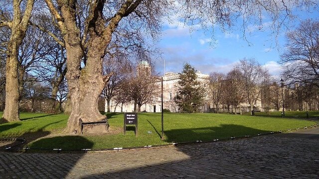 The Hungry Tree on a sunny day, illustrating its serene location within the lush greenery of King’s Inns.