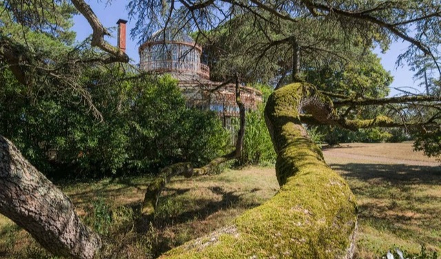 The Overgrown Greenhouse of La Serre du Chirurgien Is a Testament to Nature’s Power to Reclaim.