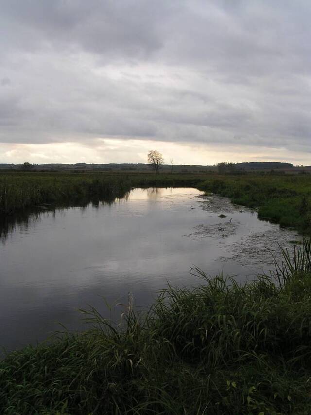 The Supraśl River in Poland, a site of intrigue, has yielded two ancient swords over the past five decades.