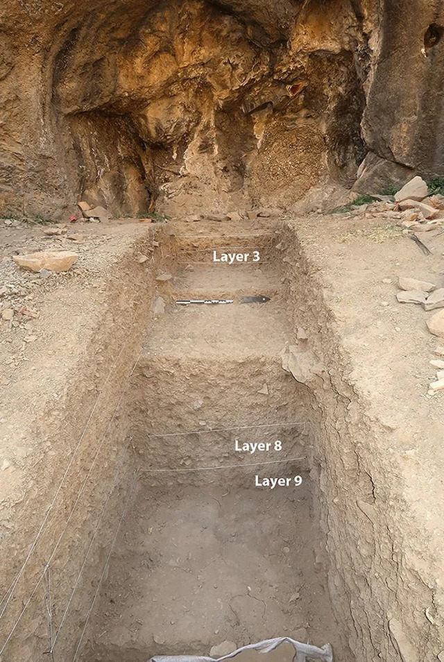 The findings from the site may provide invaluable insights into how ancient human groups interacted and thrived in this area.