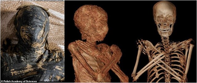 The first-ever pregnant mummy, over 2,000 years old, found in Thebes, was 28 weeks pregnant at her death.