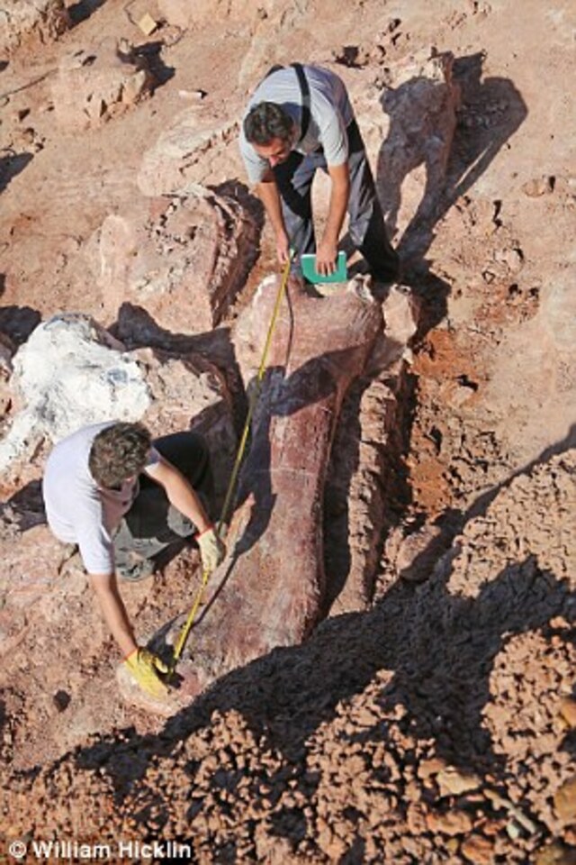 The first unearthed bone was an incredible eight-foot (2.4-meter) thigh bone, the largest ever discovered.